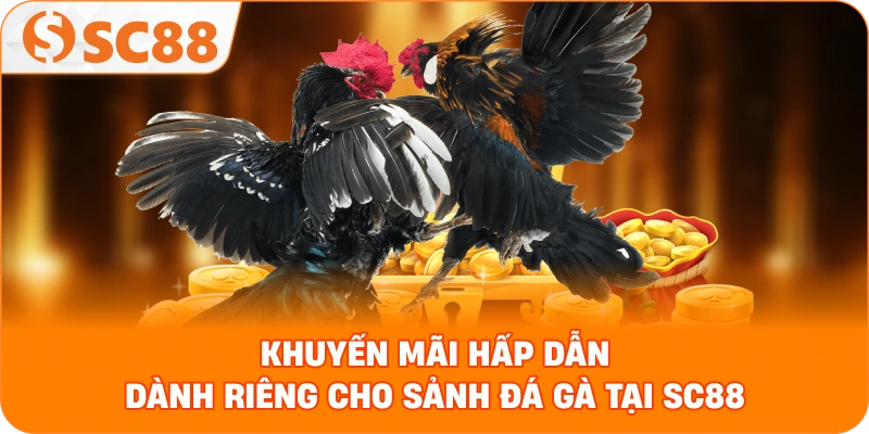 khuyến mãi hấp dẫn dành riêng cho sảnh Đá gà tại SC88